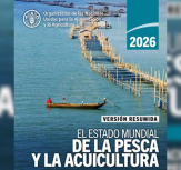 Produção pesqueira mundial atinge recorde de 235 milhões de toneladas - relatório da FAO