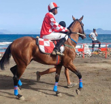 Porto Novo: Corrida de cavalo puro-sangue adiada para Setembro – edilidade